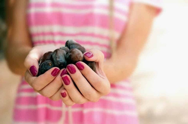 A person wearing a pink and white striped shirt is holding a handful of dark purple fruit, perfect for snacking like eating dates during pregnancy. Their nails are painted a matching pink color. The background is blurred.