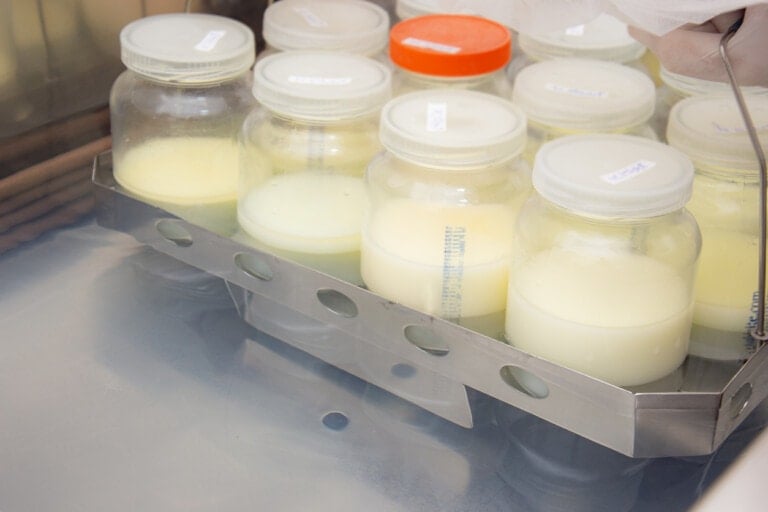 A stainless steel rack holds several jars of a creamy liquid, likely donor breastmilk, with white and orange lids in a laboratory setting. A gloved hand is visible, adjusting one of the jars.