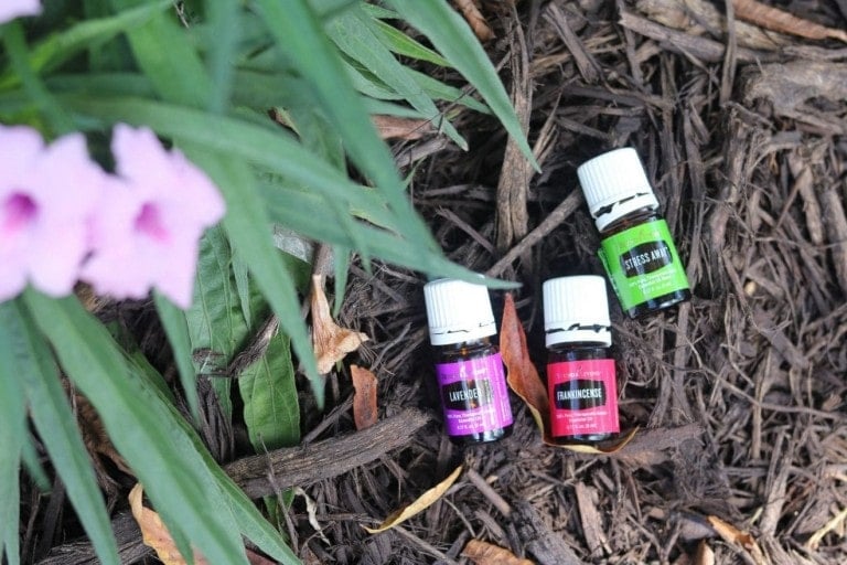 Three small bottles of essential oils for children labeled "Lavender," "Frankincense," and "Lemongrass" are placed on mulch near green foliage and a pink flower.