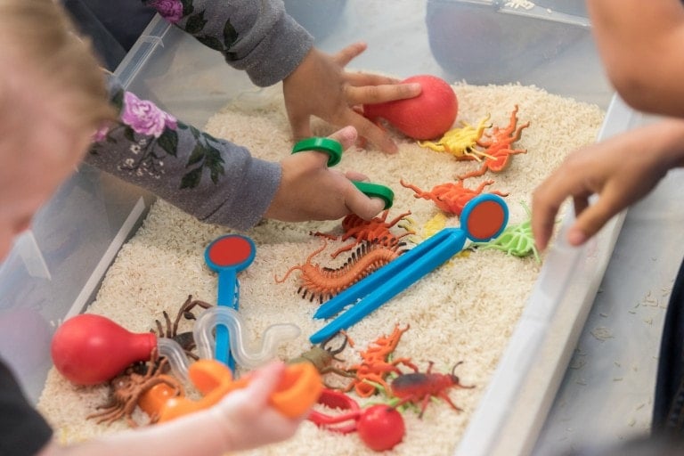 Children eagerly explore a sensory bin filled with rice and small, colorful plastic creatures. They use various tools, such as tongs and scoopers, to pick up the items. Several hands are visible, actively engaged in this fun sensory bin idea.